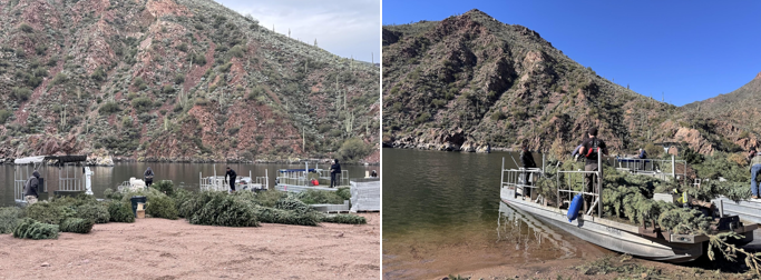 Apache Lake Christmas tree project