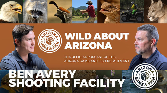 Ben Avery Podcast Episode Thumbnail Large