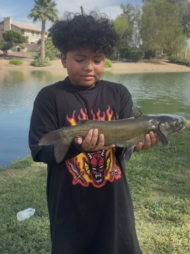 Treyshawn S
