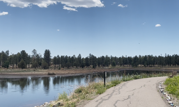 Woodland Lake low 2025