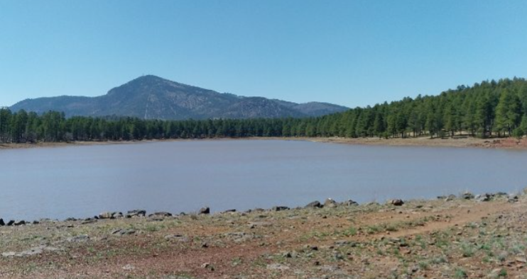 Dogtown Lake