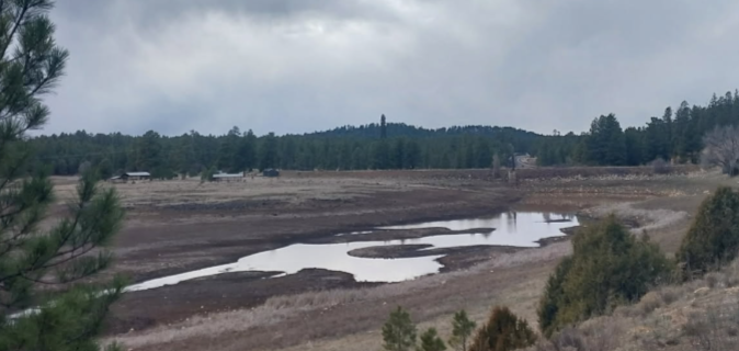 Lower Lake Mary