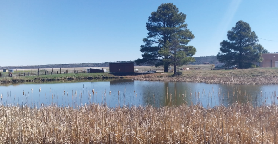Mormon Lodge Pond