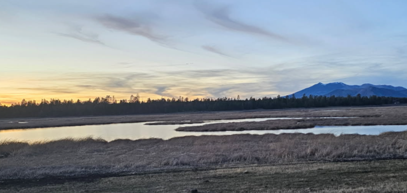 Marshall Lake