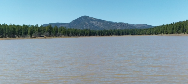 Dogtown Lake_3