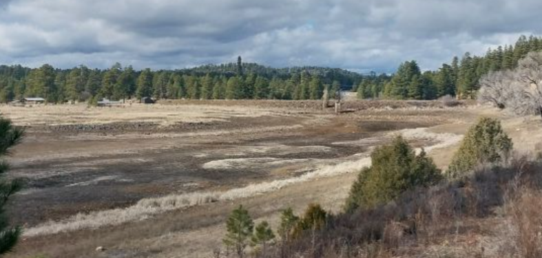Lower Lake Mary_3