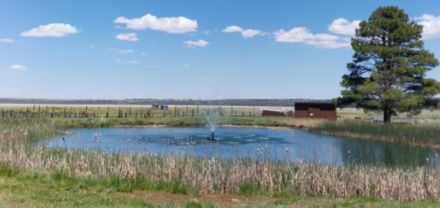 Mormon Lodge Pond_3