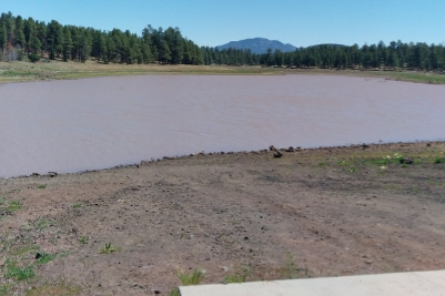 Kaibab Lake_2