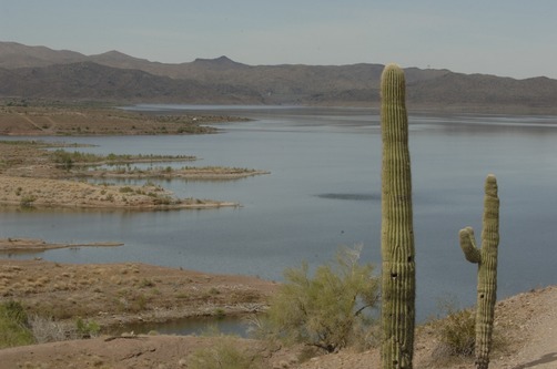 Alamo Lake June 2026