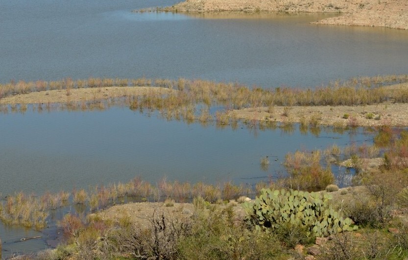 San Carlos Lake_2