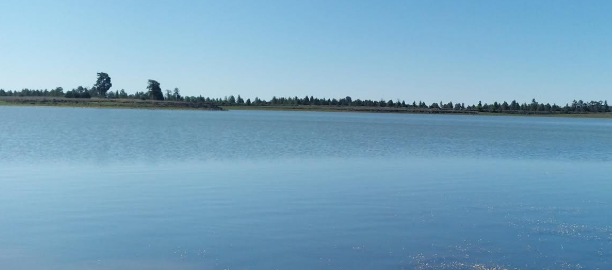 Ashurst Lake