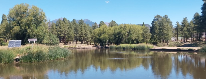 Frances Short Pond