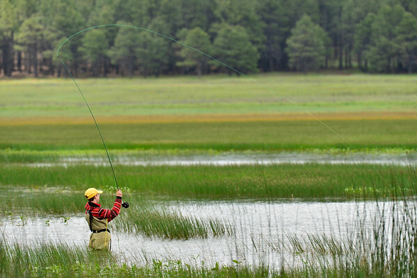 Wading fishing Chase article