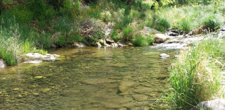 Oak Creek