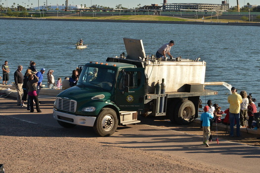 Stocking Tempe Town Lake