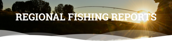 Regional Fishing Report Header