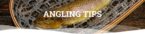 Angling tips header