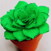 Felt Succulents