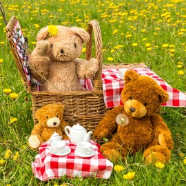 Teddy Bear Picnic