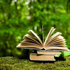An open book sitting on a green mossy log