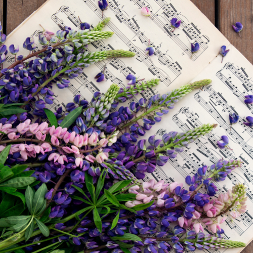 Purple lilacs displayed on sheet music