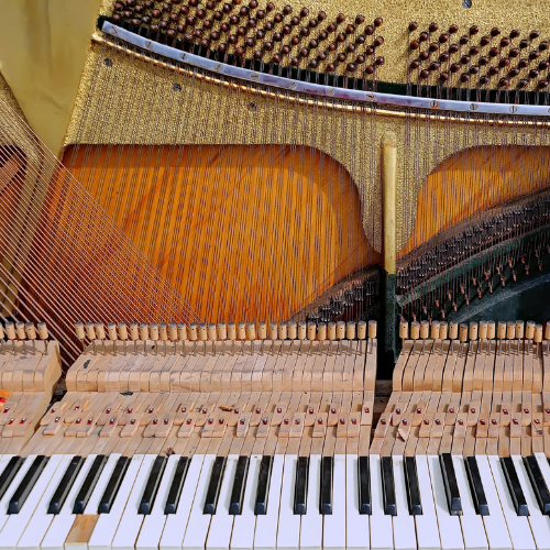 The innards of a grand piano, including strings, hammers and keys. 
