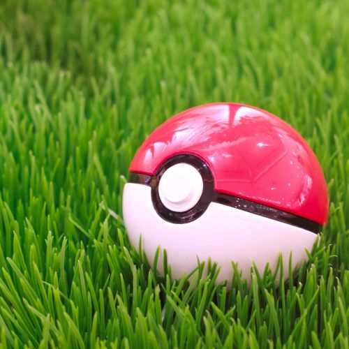 Red and White Pokeball sitting in green grass