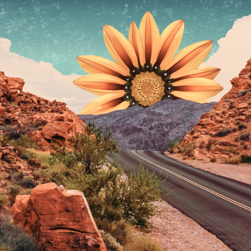 A surreal landscape with a giant orange flower blooming over a winding road through rocky desert terrain under a turquoise sky.
