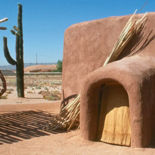 A saguaro cactus stands next to a rustic adobe building with a thatched roof and a wooden door.