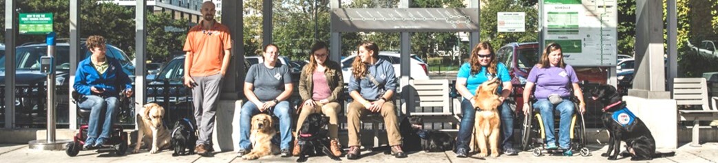 a group of people sitting at a bus stop with their dogs