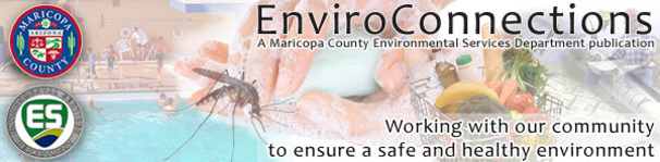 ESD Newsletter Banner