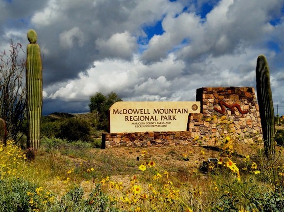 McDowell Mountain