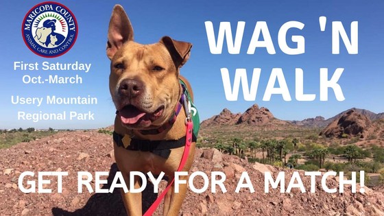 Wag N' Walk