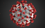 Coronavirus - Image