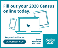 Fill Census Out Online