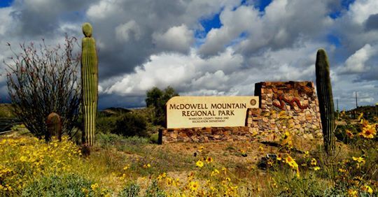 McDowell Mountain Regional Park