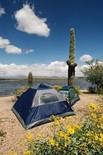 Maricopa County Parks Camping Promotion