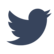 Elections twitter icon