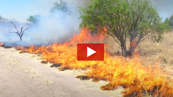 VIDEO: Fire Safety & Prevention 