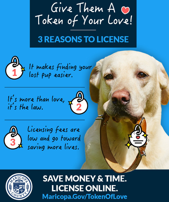 Licensing Your Dog  Maricopa County, AZ