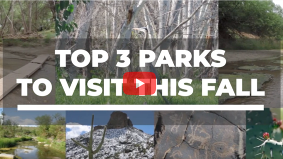 Top 3 Parks to Visit Now Video