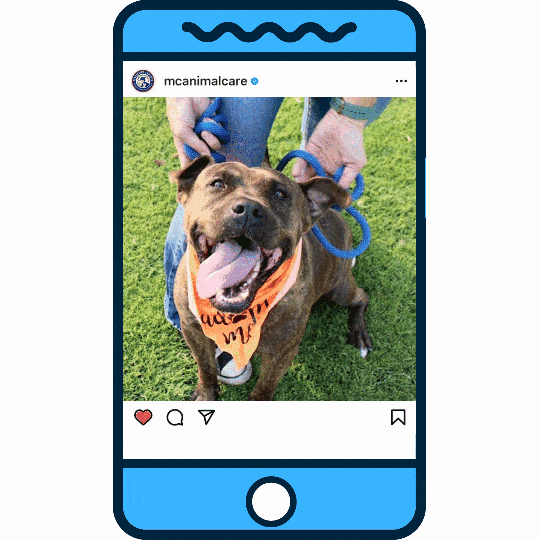 Maricopa County News Updates Week of Nov. 15