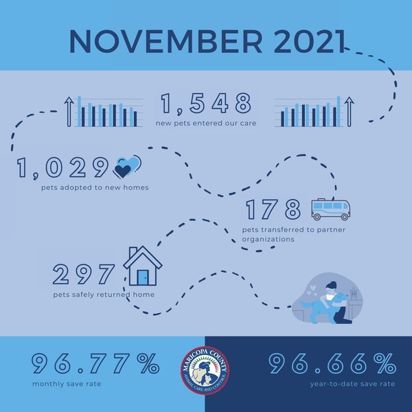 MCACC shelter stats November 2021