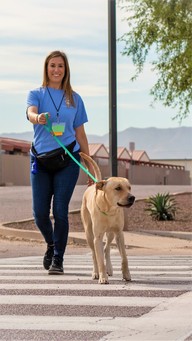 volunteer walking shelter dog