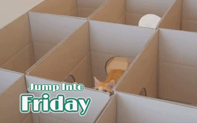 Jump Into Friday Cat