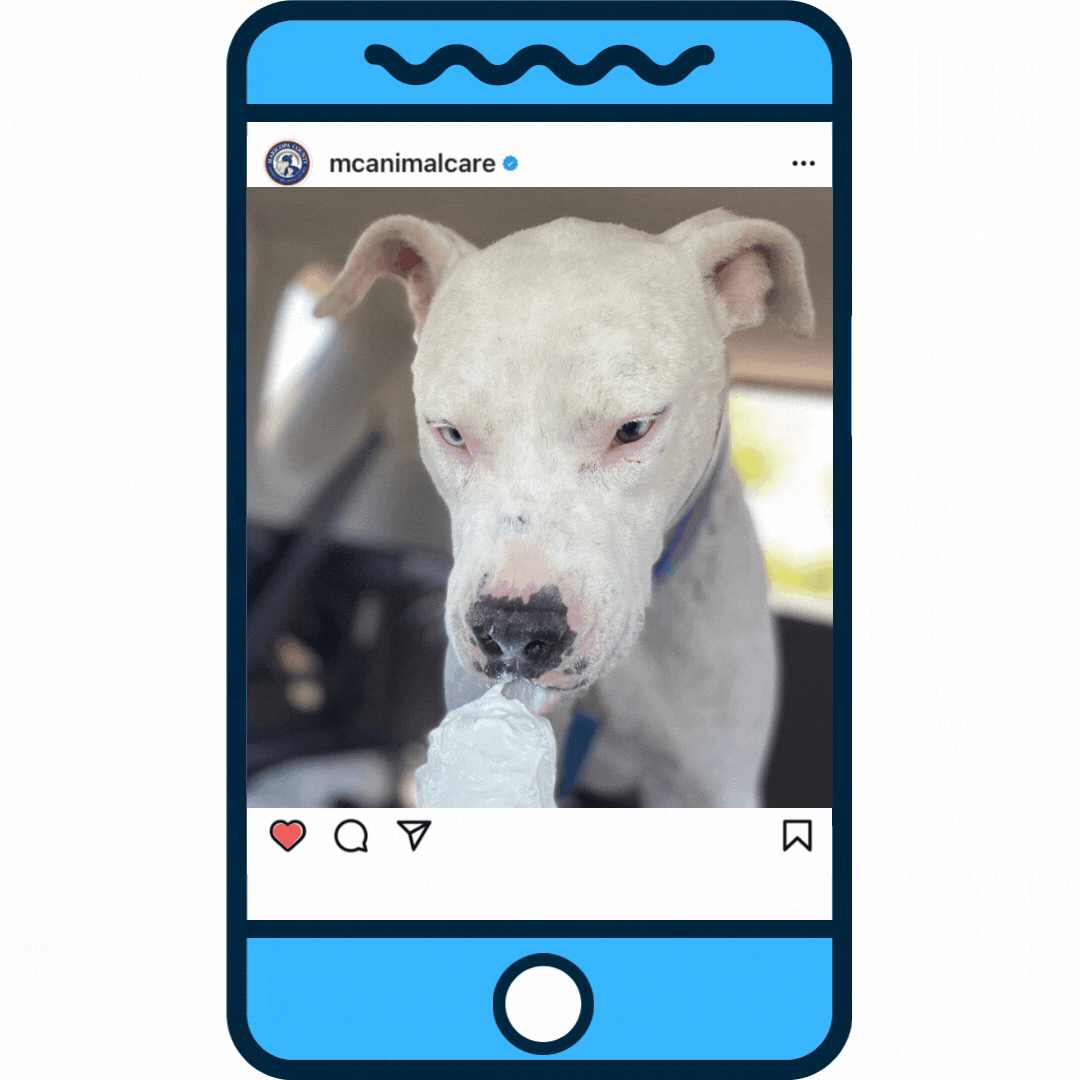 Puppy Love Sir Charles