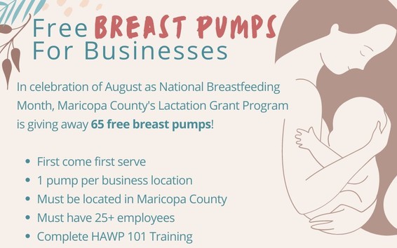 Breast Pumps Project