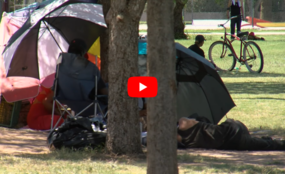 Hand in Hand YT thumbnail