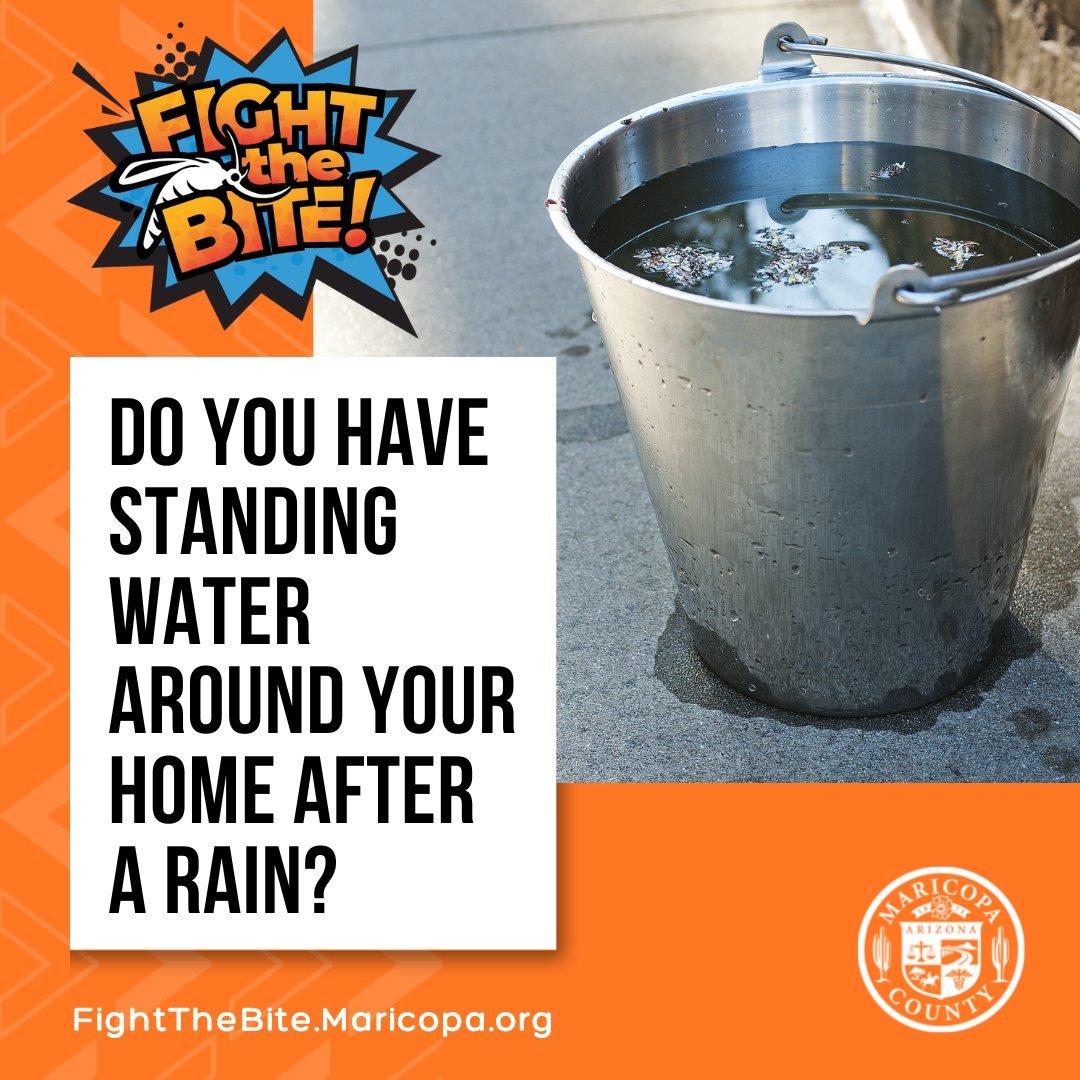 Fight the Bite Standing Water graphic