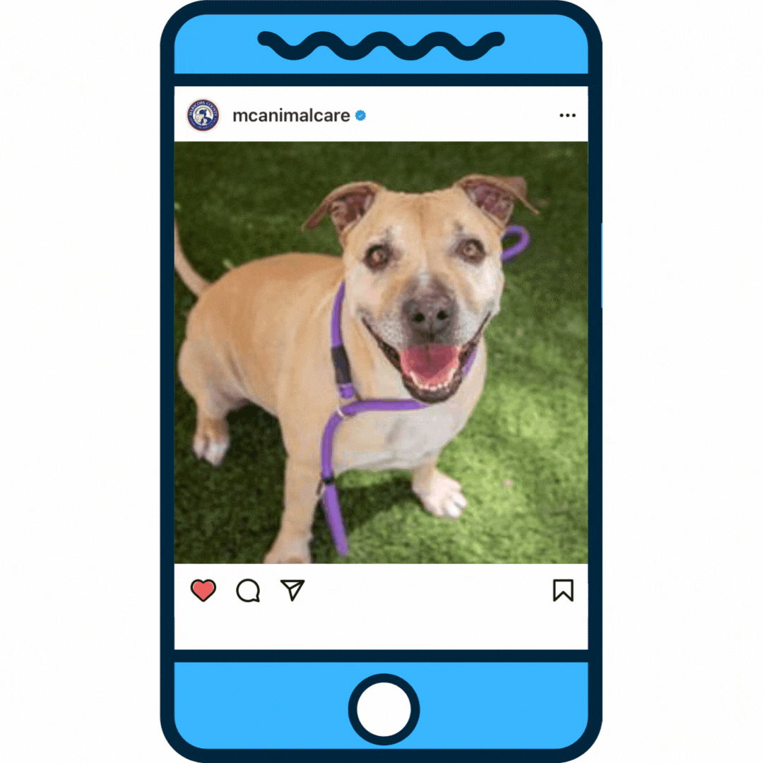 Maricopa County News Update Week of Oct. 24